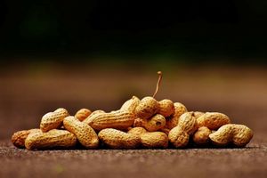 Арахісова паста: користь арахісової пасти, її склад і з чим краще їсти, зображення